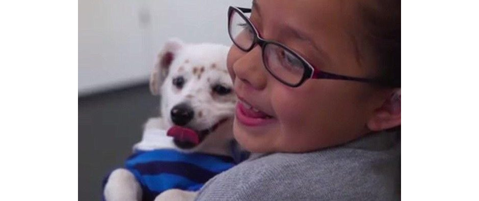 Menina com deficiência auditiva ensina linguagem de sinais para cachorro de estimação