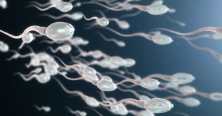 Estresse constante pode diminuir a qualidade do esperma 