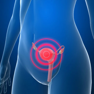 Órgão está fixo na altura do colo uterino fazendo saliência para a vagina - Foto: Getty Images