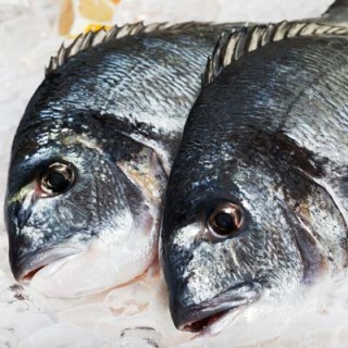 Escamas do peixe devem estar brilhantes e firmes - Foto Getty Images