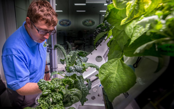 Homem cultivando vegetais no espaço