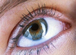 Hábitos que agravam o glaucoma
