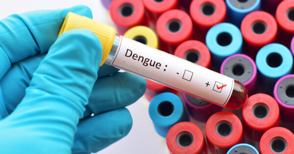Como a alimentação influencia os sintomas da dengue - Créditos: Jarun Ontakrai/Shutterstock
