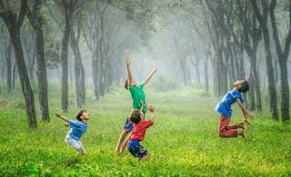 Quatro crianças brincando em um bosque