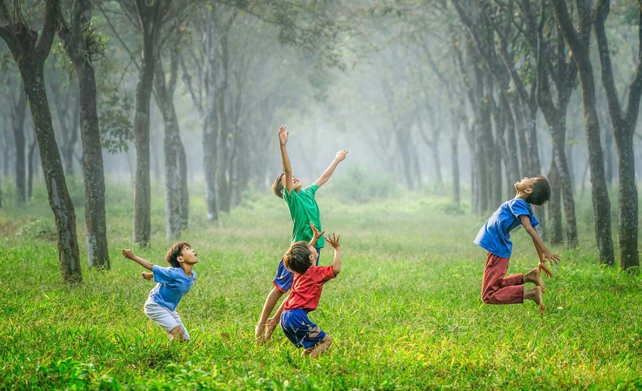 Quatro crianças brincando em um bosque