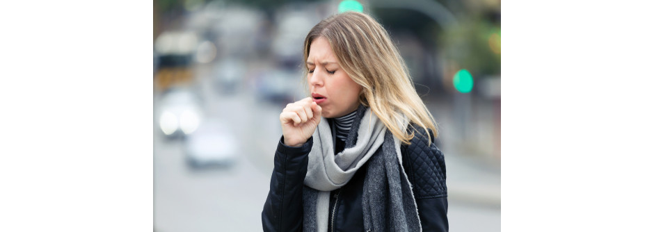 Alivia a tosse e muito mais: conheça benefícios do guaco
