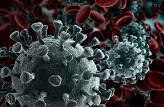 COVID-19, SARS-CoV-2 e coronavírus: o que significa cada um - Foto: Shutterstock