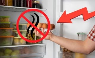 Visão de uma pessoa segurando uma bandeja de ovos em frente a uma geladeira aberta