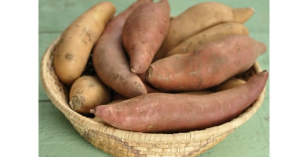 Dieta com frango, ovo e batata-doce realmente ajuda a ganhar massa