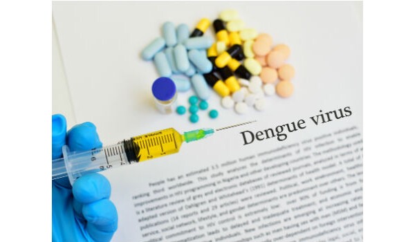 Vacina contra dengue é aplicada para teste em humanos