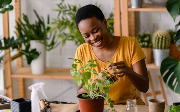 mulher cuidando de plantas