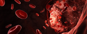 Ilustração da corrente sanguínea - Foto: Shutterstock