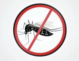 OMS afirma que Brasil está preparado para enfrentar Zika vírus