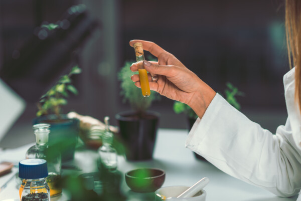 Homeopata preparando medicamentos alternativos à base de plantas.