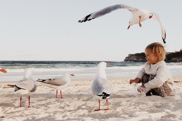 Menina alimentando pássaros na praia