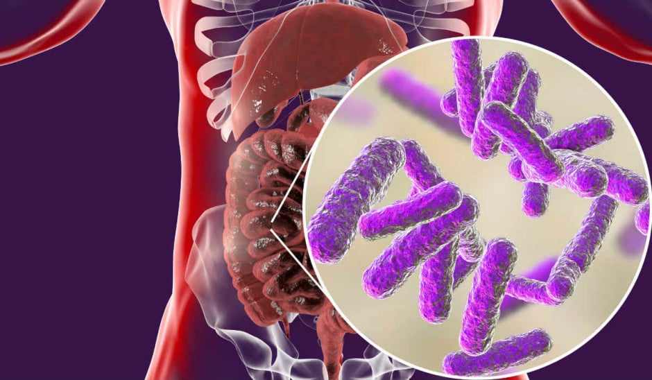 Microbiotas ajudam a emagrecer ou não? - Foto: Kateryna Kon/Shutterstock