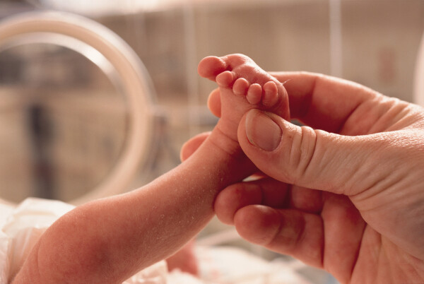 imagem aproximada de uma mão segurando o pé de um bebê prematuro que está dentro de entubadora