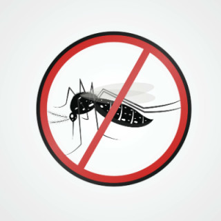 Ilustração do mosquito Aedes aegypti - Foto: GettyImages 