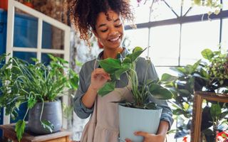 mulher cuidando de plantas