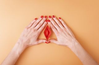 mãos simbolizando uma vagina e clitóris
