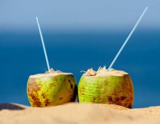 dois cocos na areia da praia