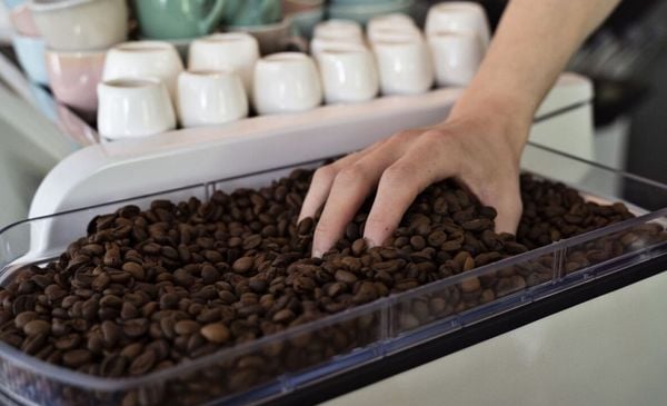Close up de uma mão em um recipiente com grãos de café