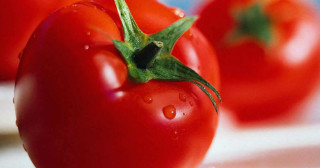 Tomate pode ajudar a prevenir e tratar câncer de estômago