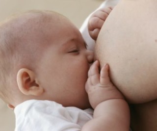 Estudos comprovam a existência do instinto maternal