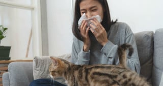Rinite alérgica a animais domésticos 
