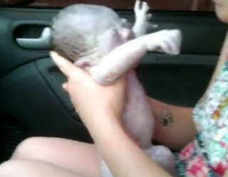 Mãe compartilha vídeo de parto realizado no carro e surpreende