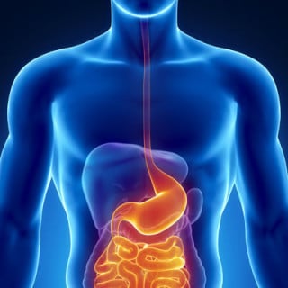 Endoscópio é inserido através do sistema digestivo - Foto: Getty Images