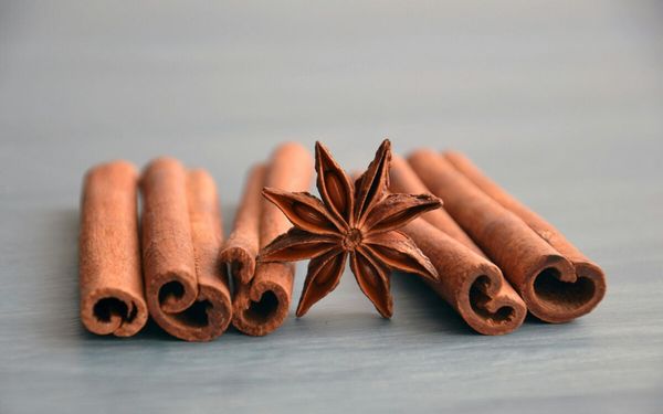 pedaços de canela em pau