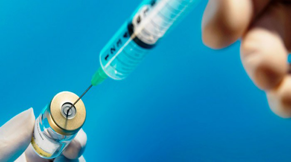Vacina contra Zika obtém sucesso na proteção contra o vírus, mostra pesquisa