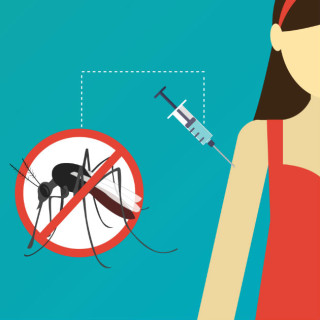 Vacina e impedir a reprodução do mosquito Aedes aegypti são as melhores formas de se prevenir da dengue - Imagem: Shutterstock