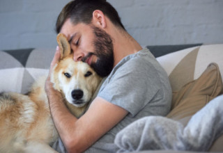 Doença é transmitida ao abraçar ou apertar cães e gatos - Foto: Shutterstock