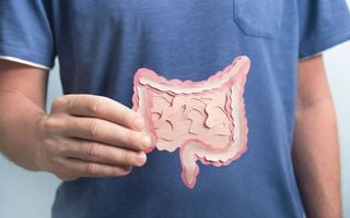pessoa segurando desenho de um intestino