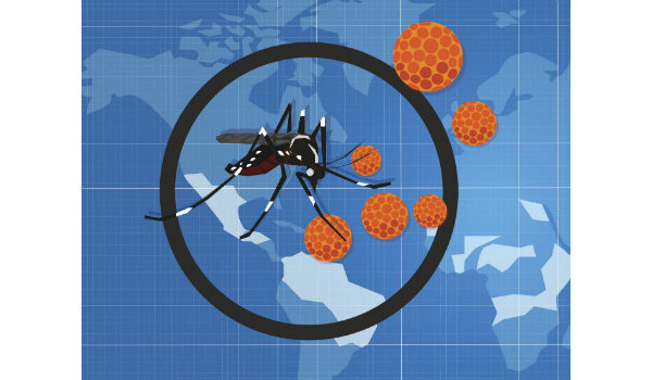 Zika vírus preocupa o mundo com proximidade das Olimpíadas 