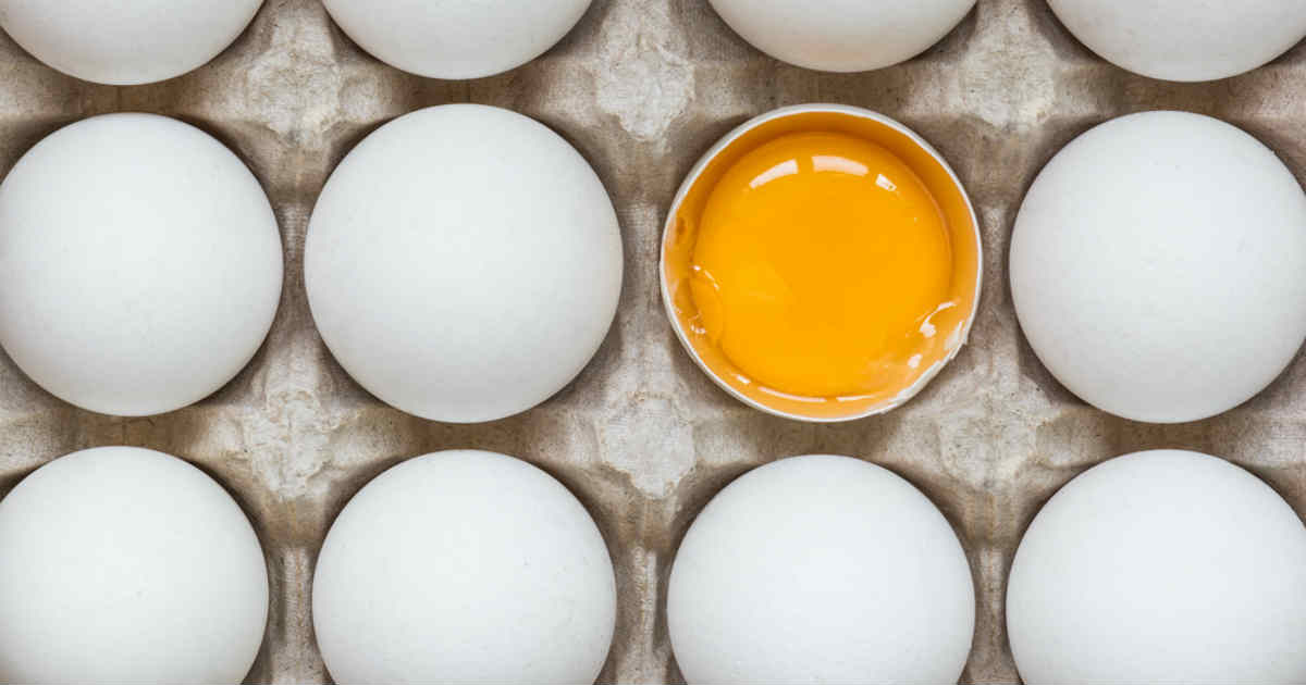 Comer um ovo por dia ajuda a ganhar músculos e perder gordura - Minha Vida
