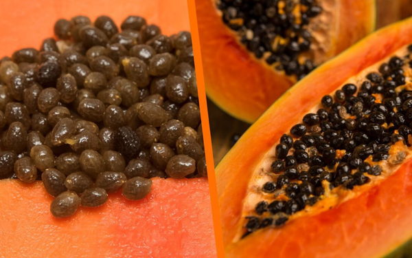 Imagem dividida. Em ambos os lados há um mamão papaya cheio de sementes