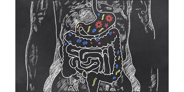 Diarreia: como os probióticos podem ajudar no quadro?
