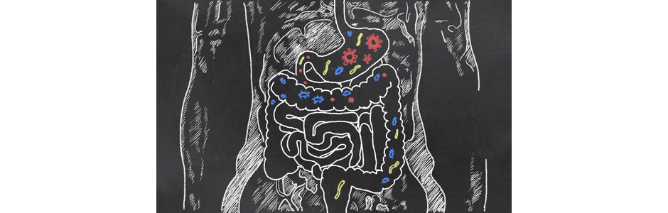 Diarreia: como os probióticos podem ajudar no quadro?