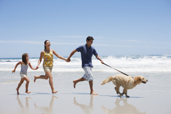 Família na praia com seu cachorro