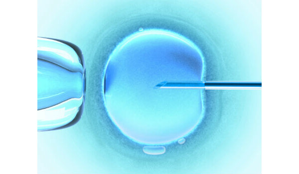 Fertilização in vitro e inseminação artificial são técnicas diferentes