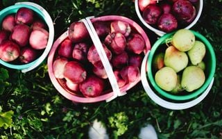 cestas com frutas