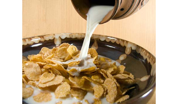 Escolha o melhor cereal matinal para emagrecer