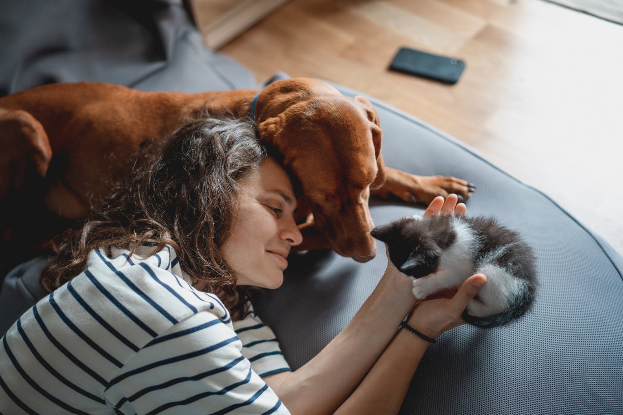 Sexo caseiro com animais