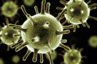 Mesmo que o vírus H1N1 não tenha mudado, o vírus H3N2 e a cepa B mudaram de 2015 para cá.