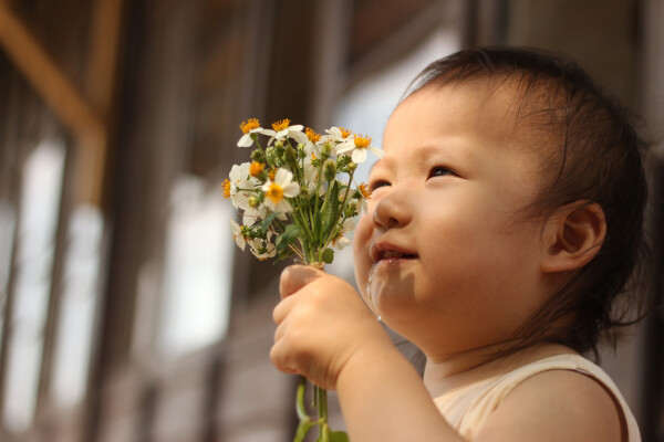 Bebê segurando buquê de flores