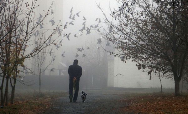 Homem caminhando em um parque com um cachorro