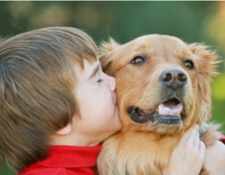 Conviver com cães no primeiro ano de vida ajuda a reduzir chances de ter asma